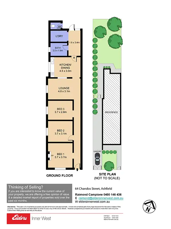 Floorplan of Homely semi-detached listing, 64 Chandos Street, Ashfield NSW 2131