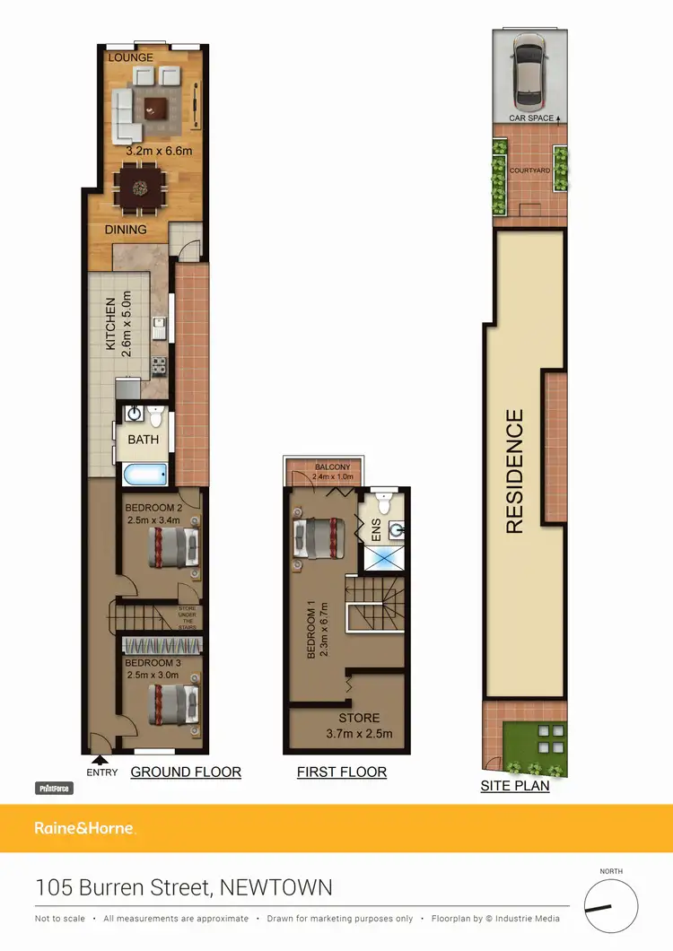 Floorplan of Homely house listing, 105 Burren Street, Newtown NSW 2042