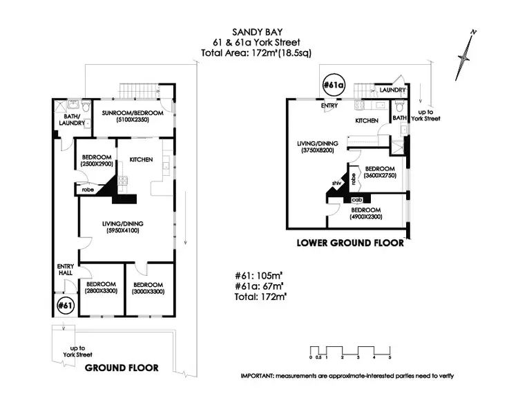 Floorplan of Homely house listing, 59-61 York Street, Sandy Bay TAS 7005