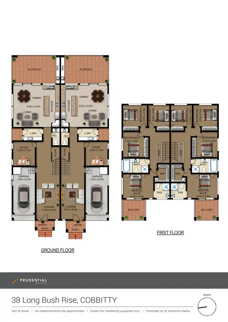 Floorplan of Homely semi-detached listing, 1/38 LongBush Rise, Cobbitty NSW 2570