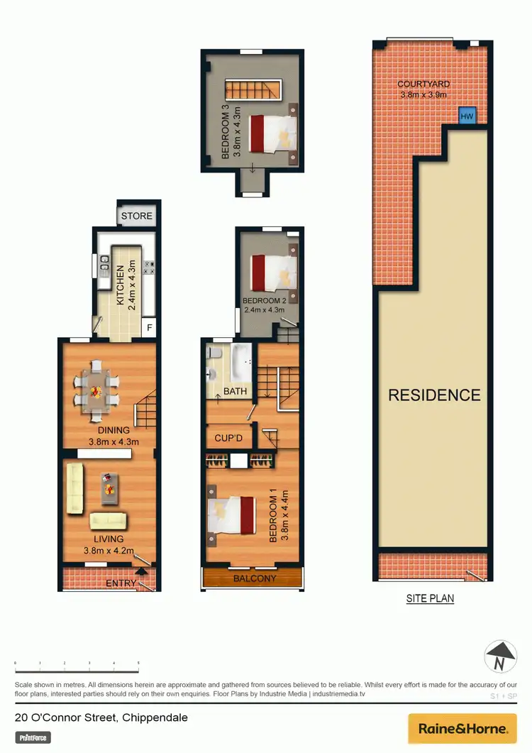 Floorplan of Homely house listing, 20 O'Connor Street, Chippendale NSW 2008