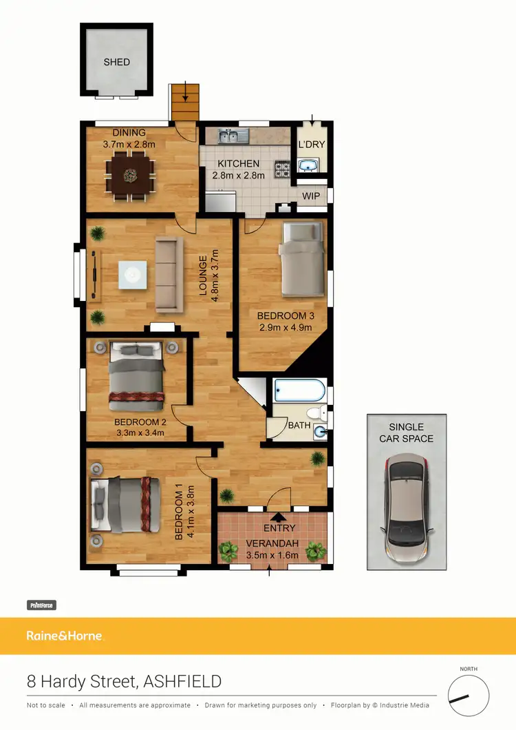 Floorplan of Homely house listing, 8 Hardy Street, Ashfield NSW 2131