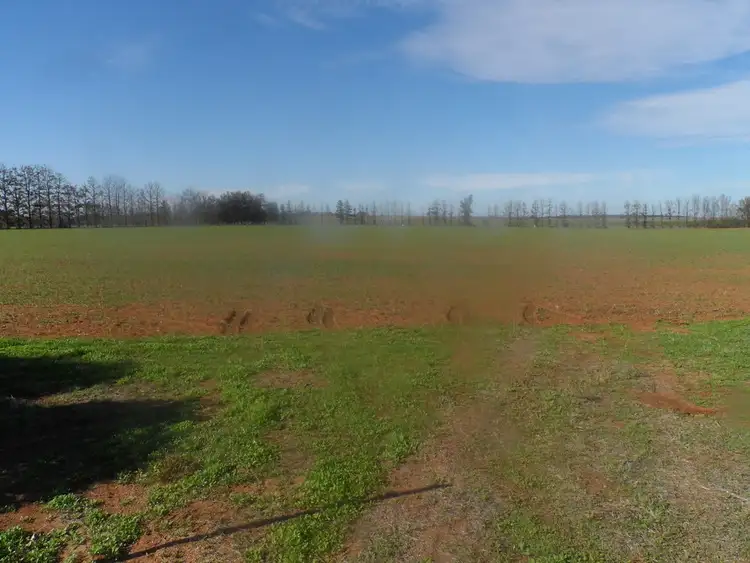 Floorplan of Homely house listing, 257 Newton Road, Loxton SA 5333