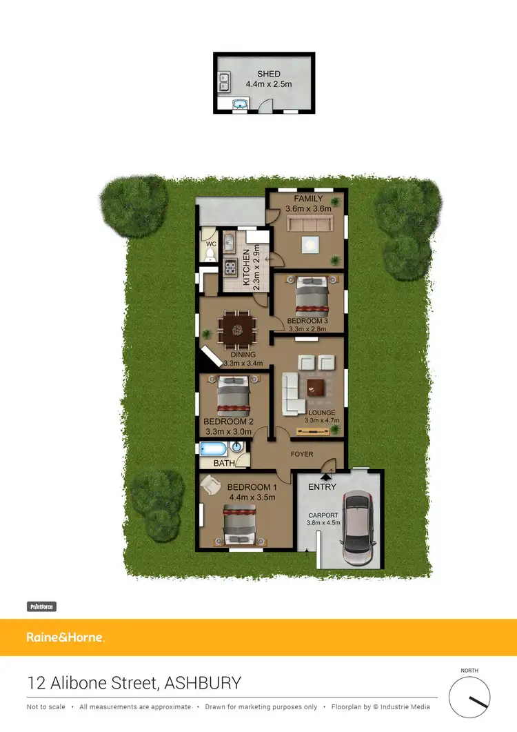 Floorplan of Homely house listing, 12 Allibone Street, Ashbury NSW 2193