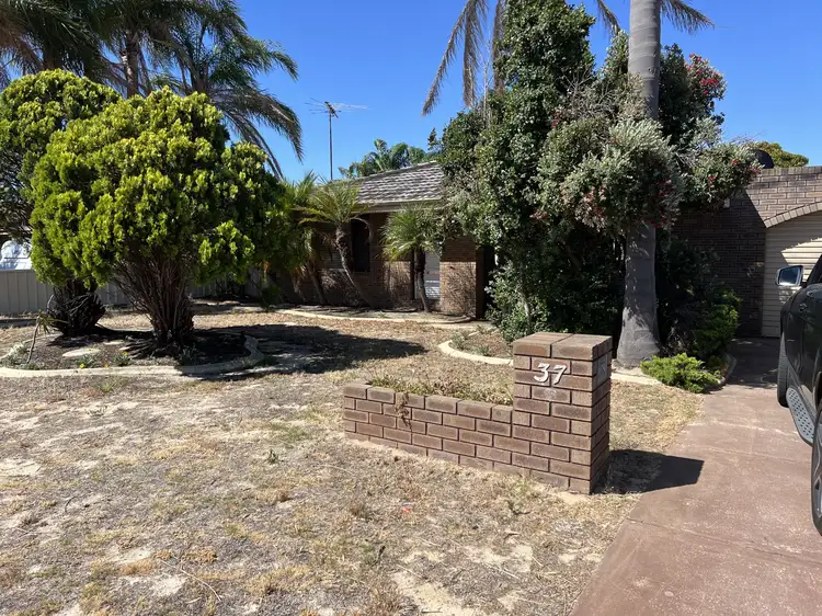 Floorplan of Homely house listing, 37 Sandeland Avenue, Coodanup WA 6210