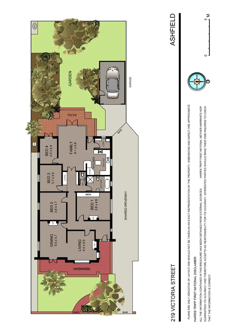 Floorplan of Homely house listing, 219 Victoria Street, Ashfield NSW 2131