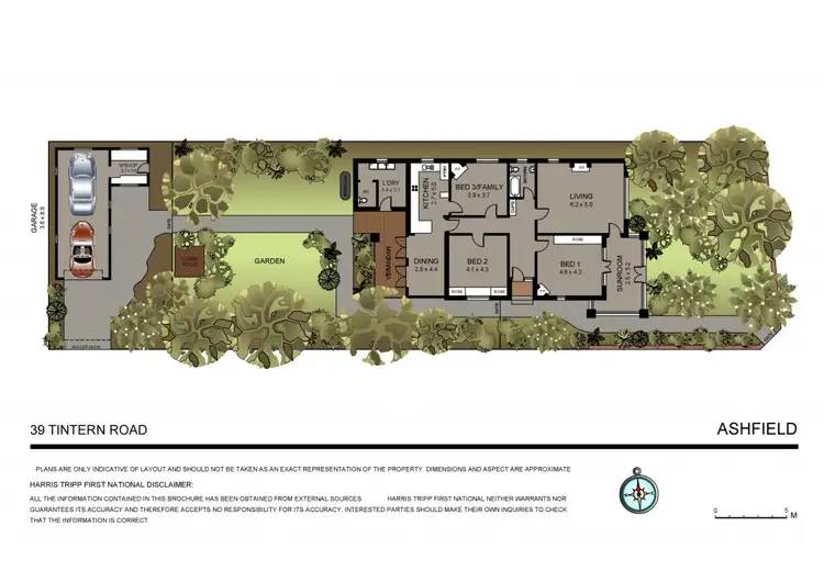 Floorplan of Homely house listing, 39 Tintern Road, Ashfield NSW 2131