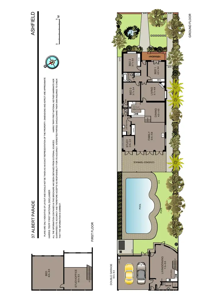 Floorplan of Homely house listing, 37 Albert Parade, Ashfield NSW 2131