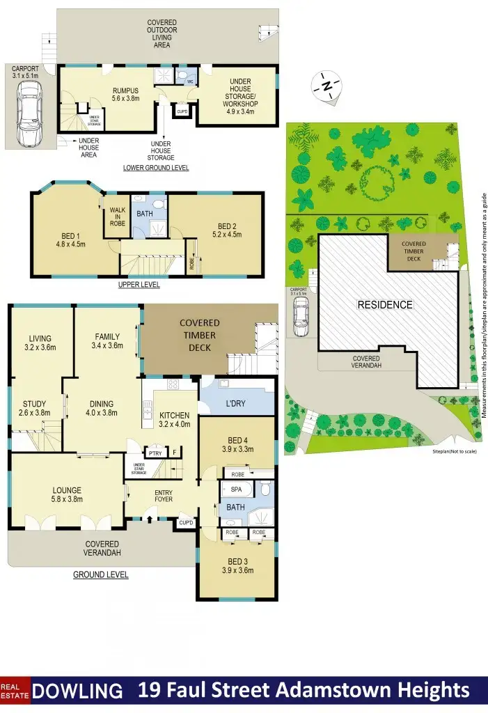 Floorplan of Homely house listing, 19 Faul Street, Adamstown Heights NSW 2289