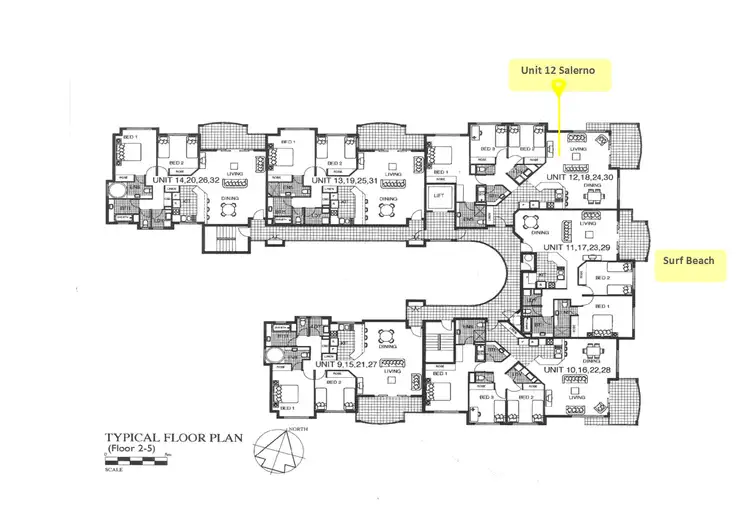 Floorplan of Homely unit listing, U12/939 David Low Way, Marcoola QLD 4564