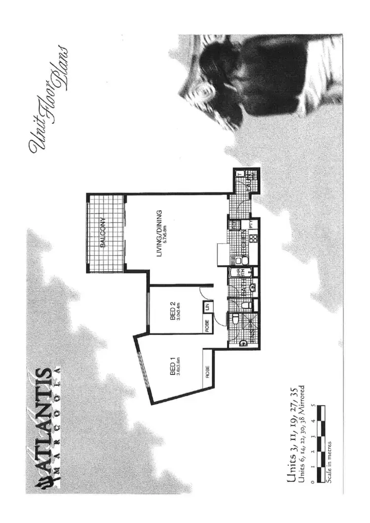 Floorplan of Homely unit listing, U11/903 David Low Way, Marcoola QLD 4564