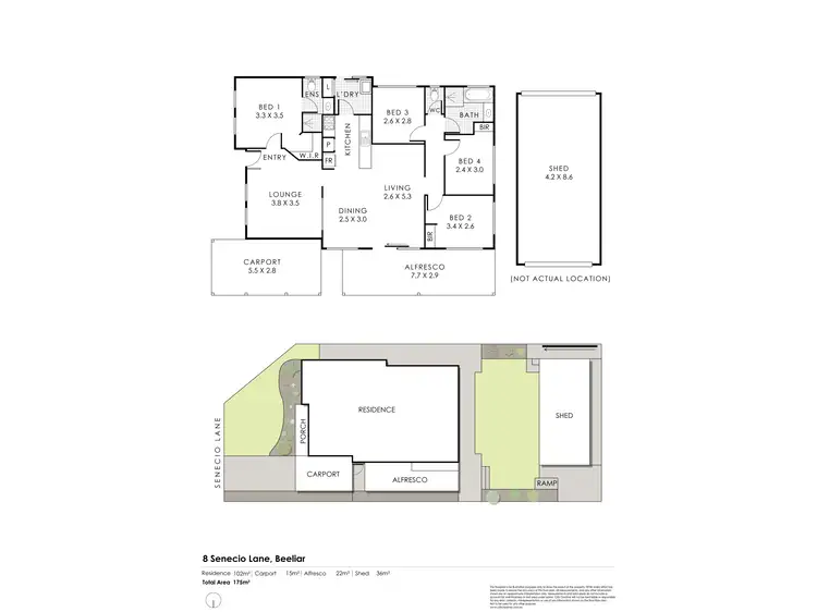 Floorplan of Homely house listing, 8 Senecio Lane, Beeliar WA 6164