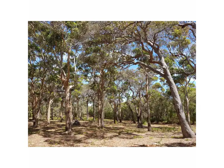 Floorplan of Homely land listing, Lot 54, Colyer Drive, Hamelin Bay WA 6288