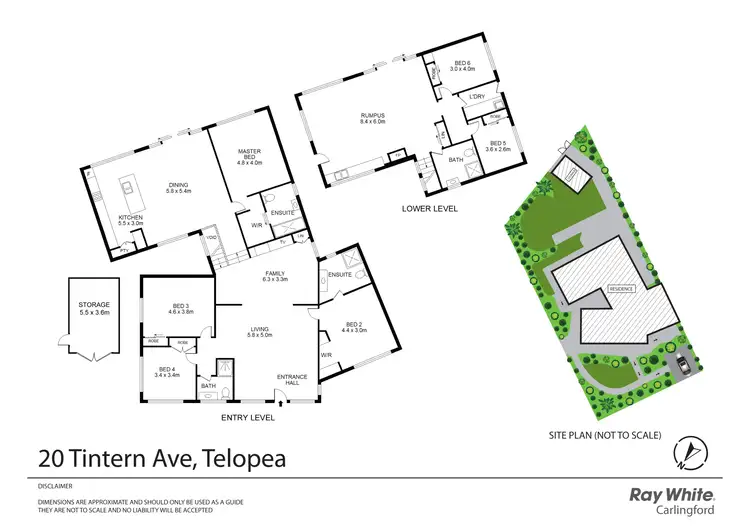 Floorplan of Homely house listing, 20 Tintern Avenue, Telopea NSW 2117