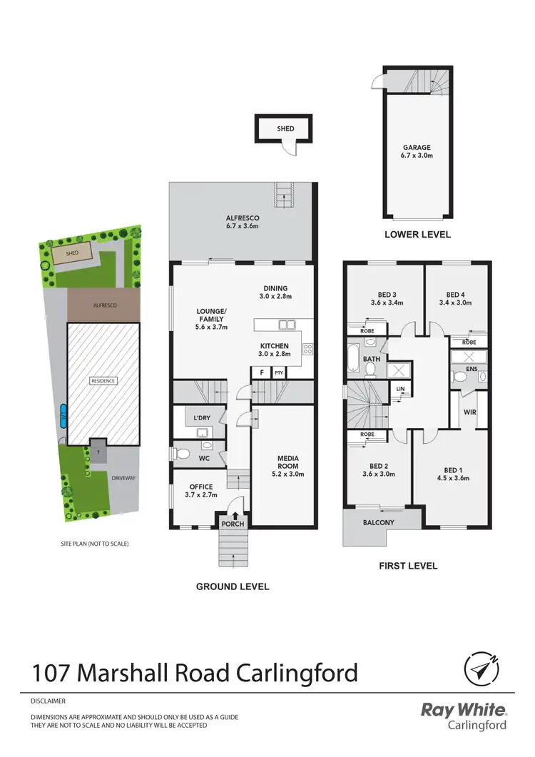 Floorplan of Homely semi-detached listing, 107 Marshall Road, Carlingford NSW 2118