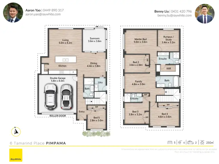Floorplan of Homely house listing, 6 Tamarind Place, Pimpama QLD 4209