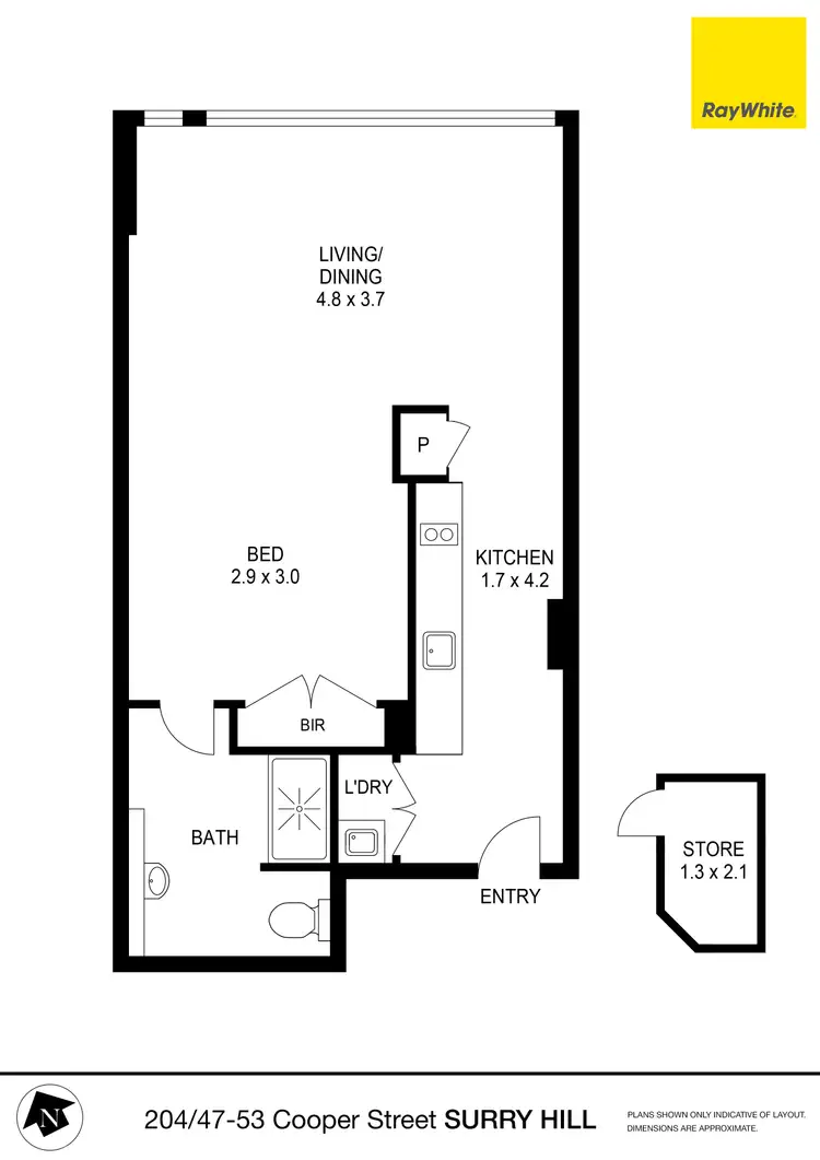 Floorplan of Homely studio listing, 204/47-53 Cooper Street, Surry Hills NSW 2010