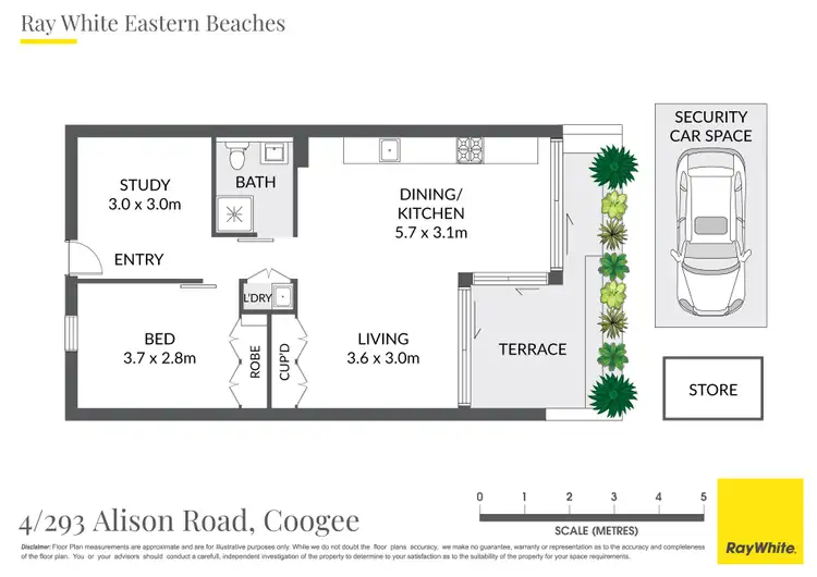 Floorplan of Homely apartment listing, 4/293 Alison Road, Coogee NSW 2034