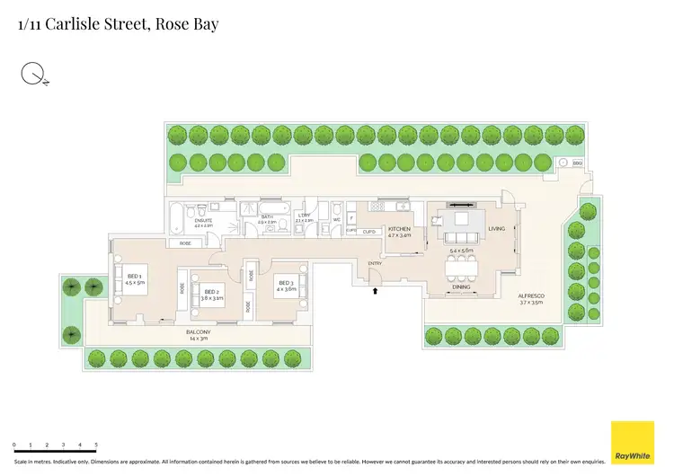 Floorplan of Homely apartment listing, 1/11 Carlisle Street, Rose Bay NSW 2029
