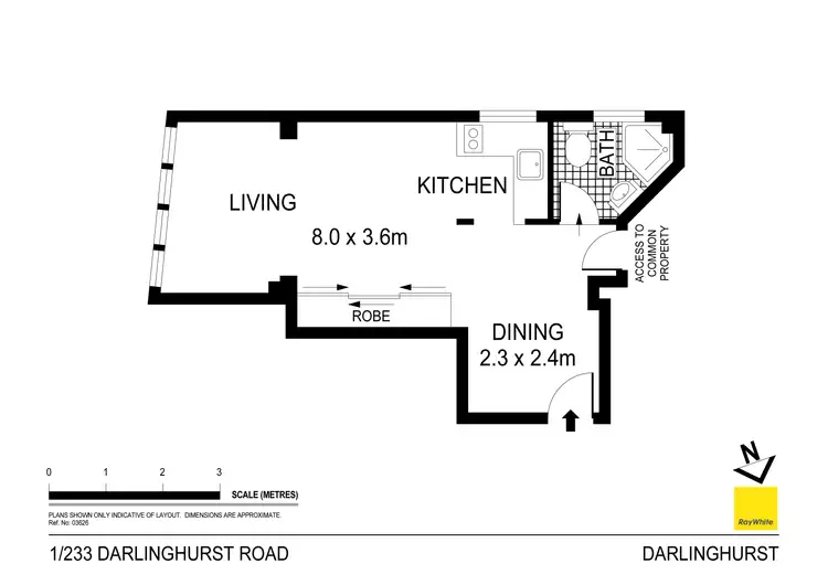 Floorplan of Homely studio listing, 1/233 Darlinghurst Road, Darlinghurst NSW 2010