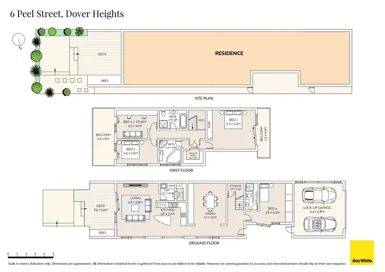 Floorplan of Homely house listing, 6 Peel Street, Dover Heights NSW 2030