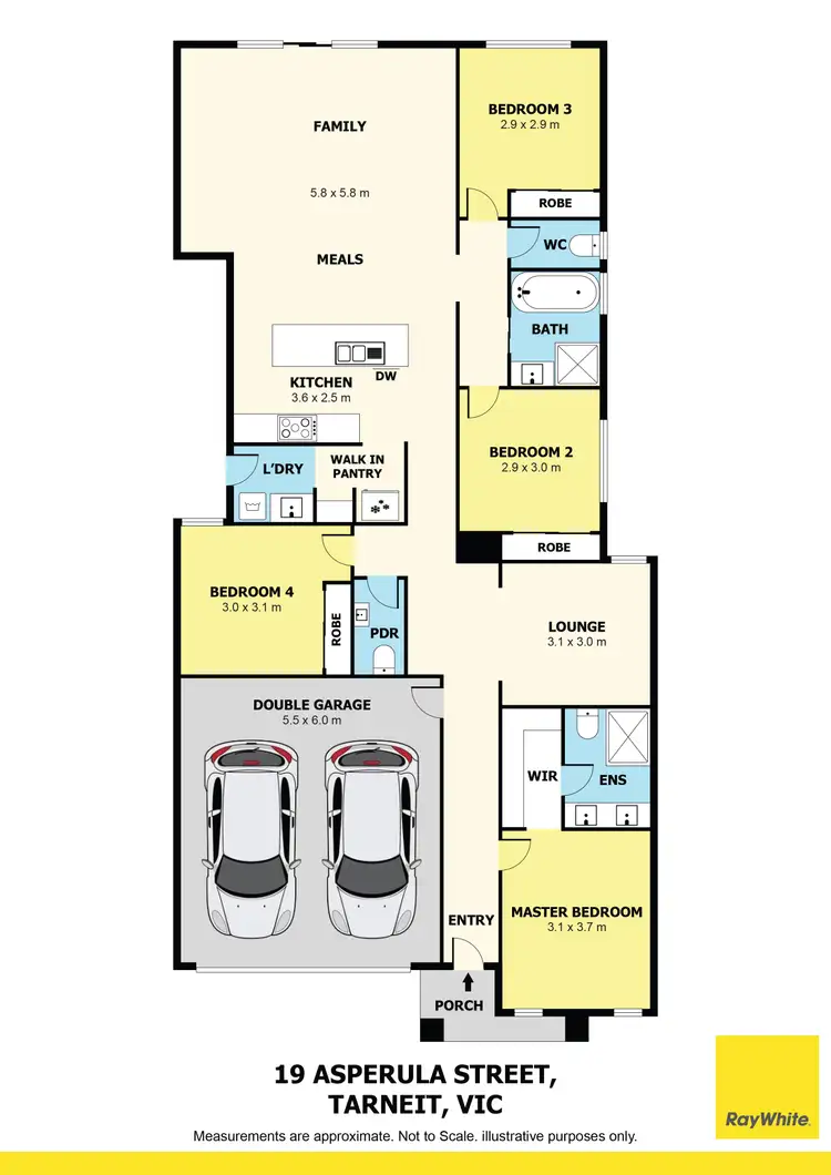 Floorplan of Homely house listing, 19 Asperula Street, Tarneit VIC 3029