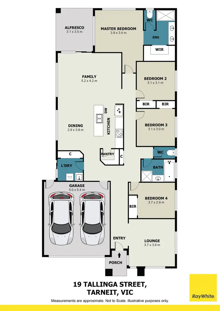 Floorplan of Homely house listing, 19 Tallinga Street, Tarneit VIC 3029