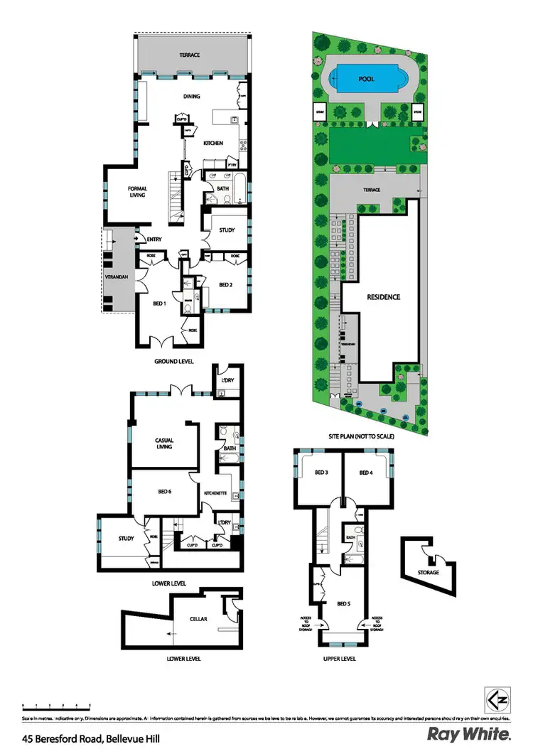 Floorplan of Homely house listing, 45 Beresford Rd, Bellevue Hill NSW