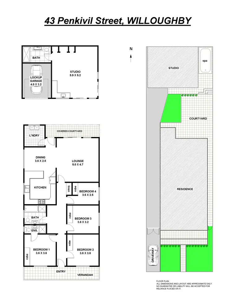 Floorplan of Homely house listing, 43 Penkivil St, Willoughby NSW
