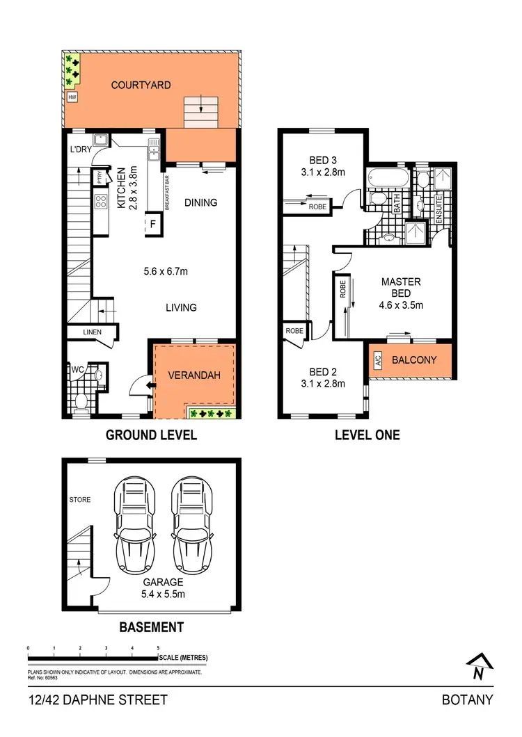 Floorplan of Homely townhouse listing, 12/42 Daphne Street, Botany NSW 2019