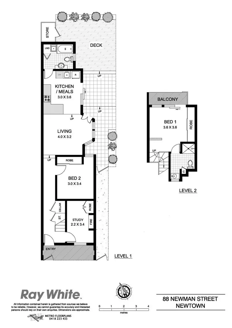 Floorplan of Homely house listing, 88 Newman Street, Newtown NSW 2042
