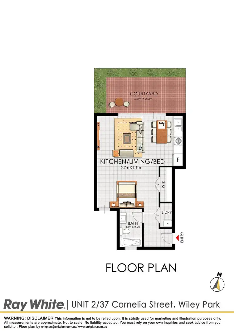Floorplan of Homely studio listing, 2/37 Cornelia Street, Wiley Park NSW 2195