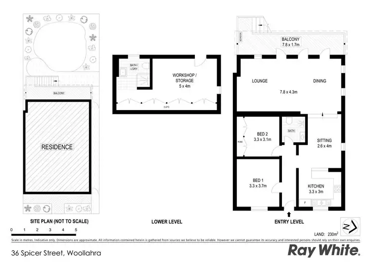 Floorplan of Homely house listing, 36 Spicer Street, Woollahra NSW 2025