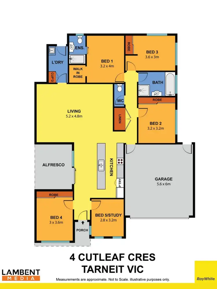 Floorplan of Homely house listing, 4 Cutleaf Crescent, Tarneit VIC 3029