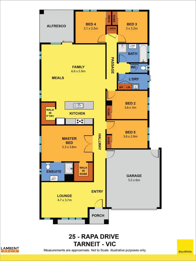 Floorplan of Homely house listing, 25 Rapa Drive, Tarneit VIC 3029