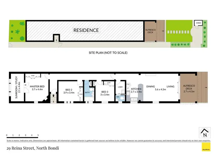 Floorplan of Homely other listing, 29 Reina Street, North Bondi NSW 2026