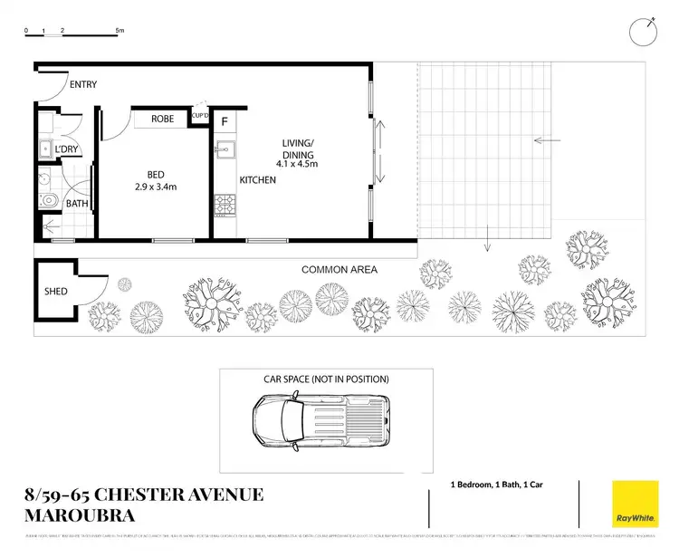 Floorplan of Homely apartment listing, 8/59-65 Chester Avenue, Maroubra NSW 2035