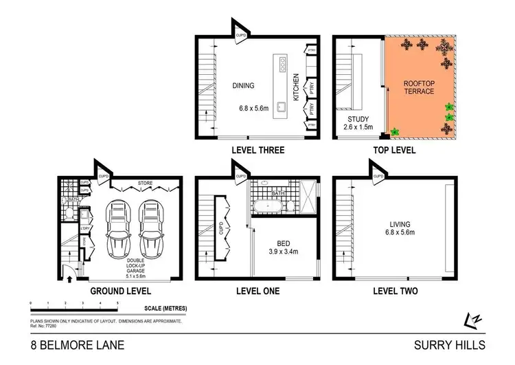 Floorplan of Homely house listing, 8 Belmore Lane, Surry Hills NSW 2010