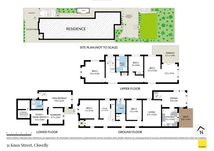 Floorplan of Homely house listing, 31 Knox Street, Clovelly NSW 2031
