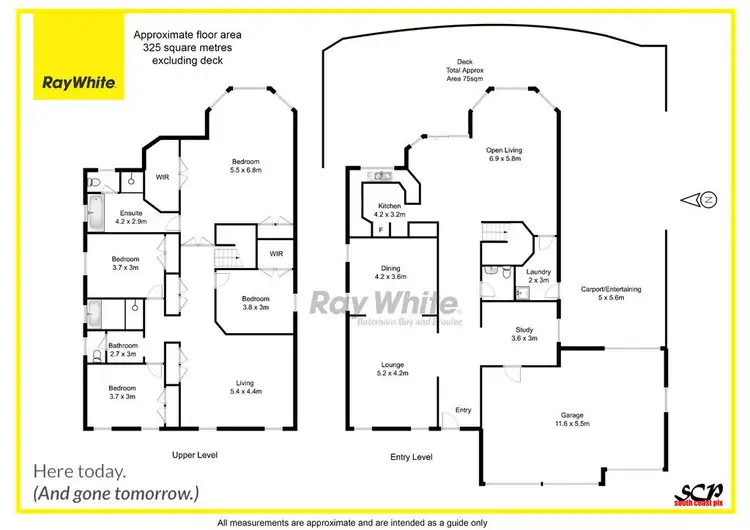 Floorplan of Homely house listing, 61 Blairs Road, Long Beach NSW 2536