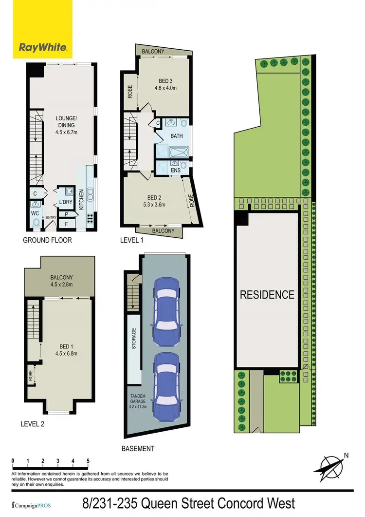 Floorplan of Homely townhouse listing, 8/231-235 Stuart Street, Concord West NSW 2138