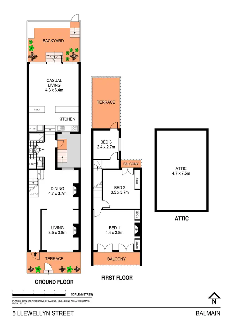 Floorplan of Homely house listing, 5 Llewellyn Street, Balmain NSW 2041