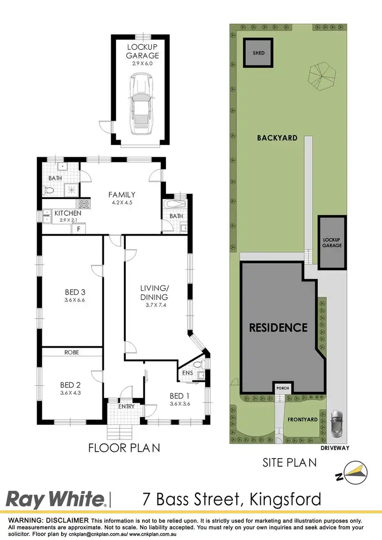 Floorplan of Homely house listing, 7 Bass Street, Kingsford NSW 2032