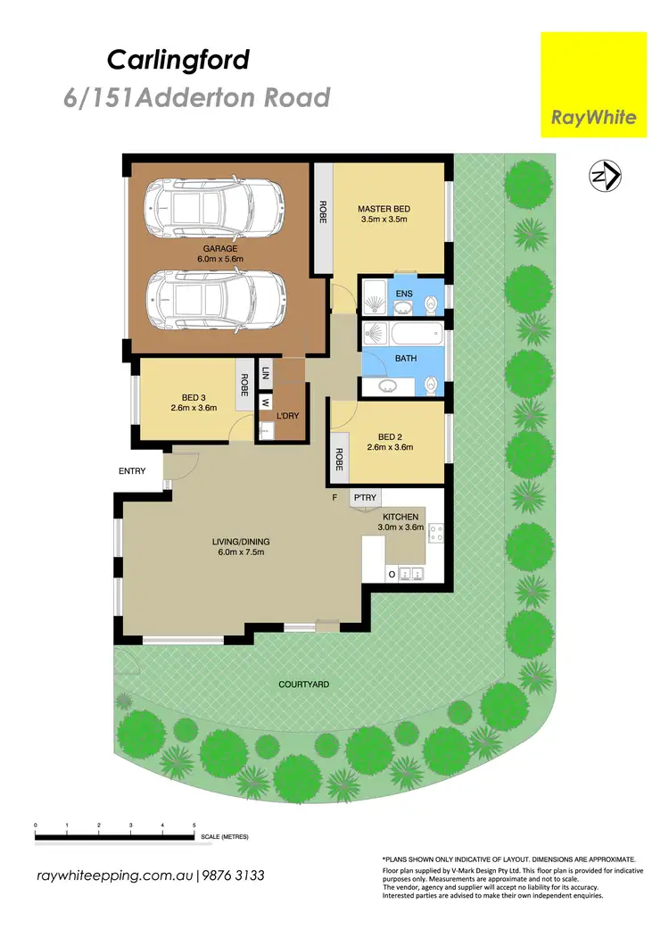 Floorplan of Homely villa listing, 6/151-153 Adderton Road, Carlingford NSW 2118