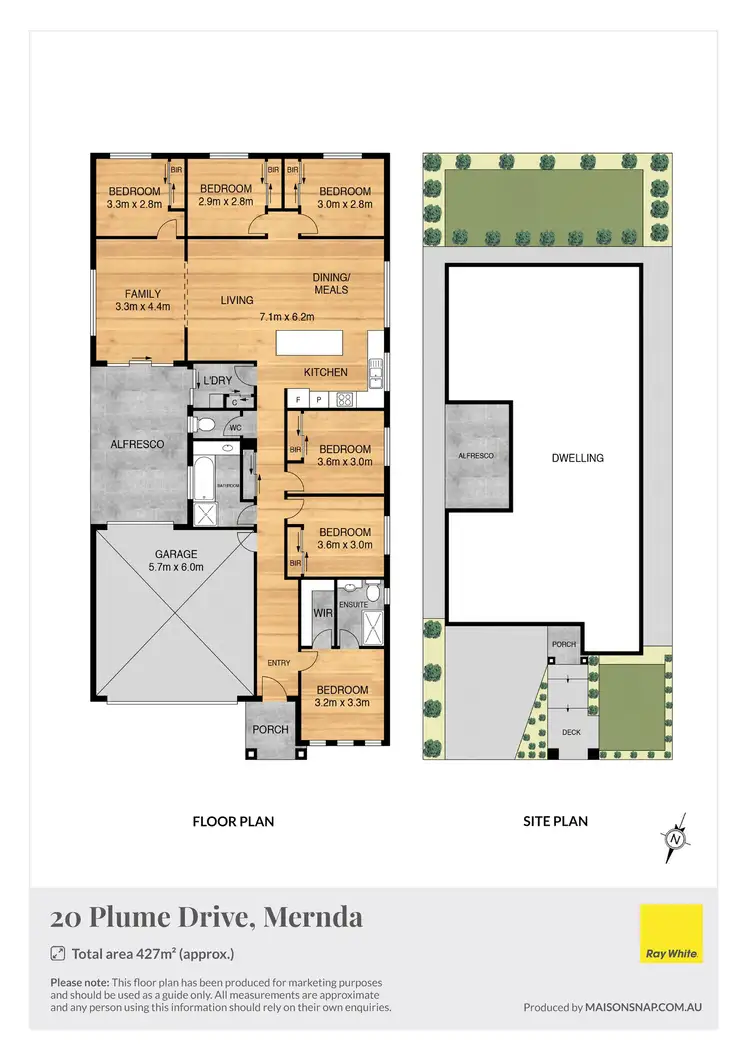 Floorplan of Homely house listing, 20 Plume Drive, Mernda VIC 3754