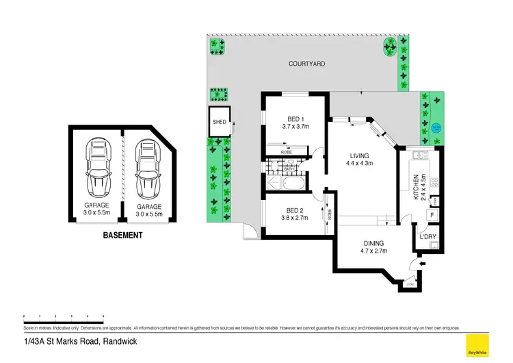 Floorplan of Homely apartment listing, 1/43a St Marks Road, Randwick NSW 2031