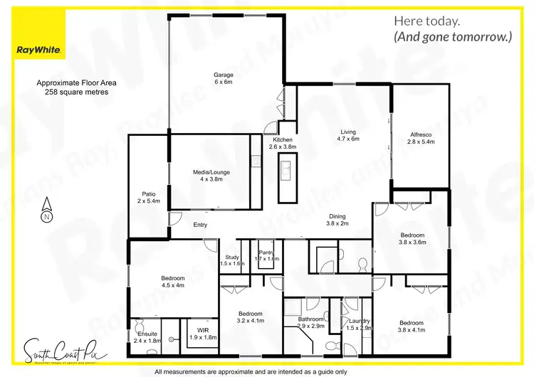 Floorplan of Homely house listing, 3 Braemar Drive, Moruya NSW 2537