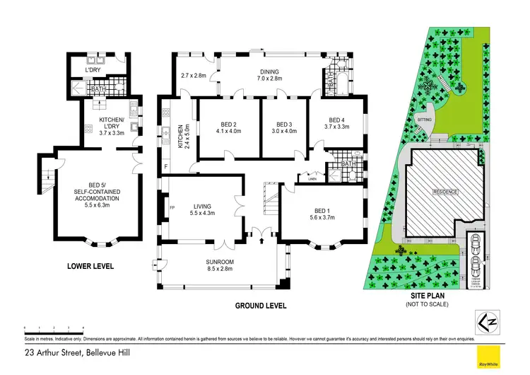 Floorplan of Homely house listing, 23 Arthur Street, Bellevue Hill NSW 2023