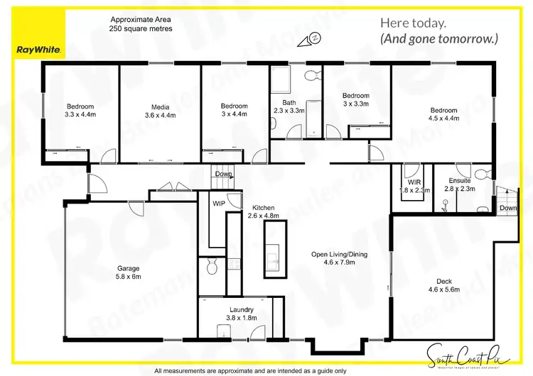 Floorplan of Homely house listing, 57 Broomfield Crescent, Long Beach NSW 2536