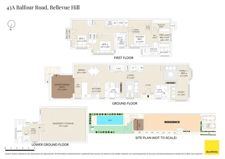 Floorplan of Homely house listing, 43A Balfour Road, Bellevue Hill NSW 2023